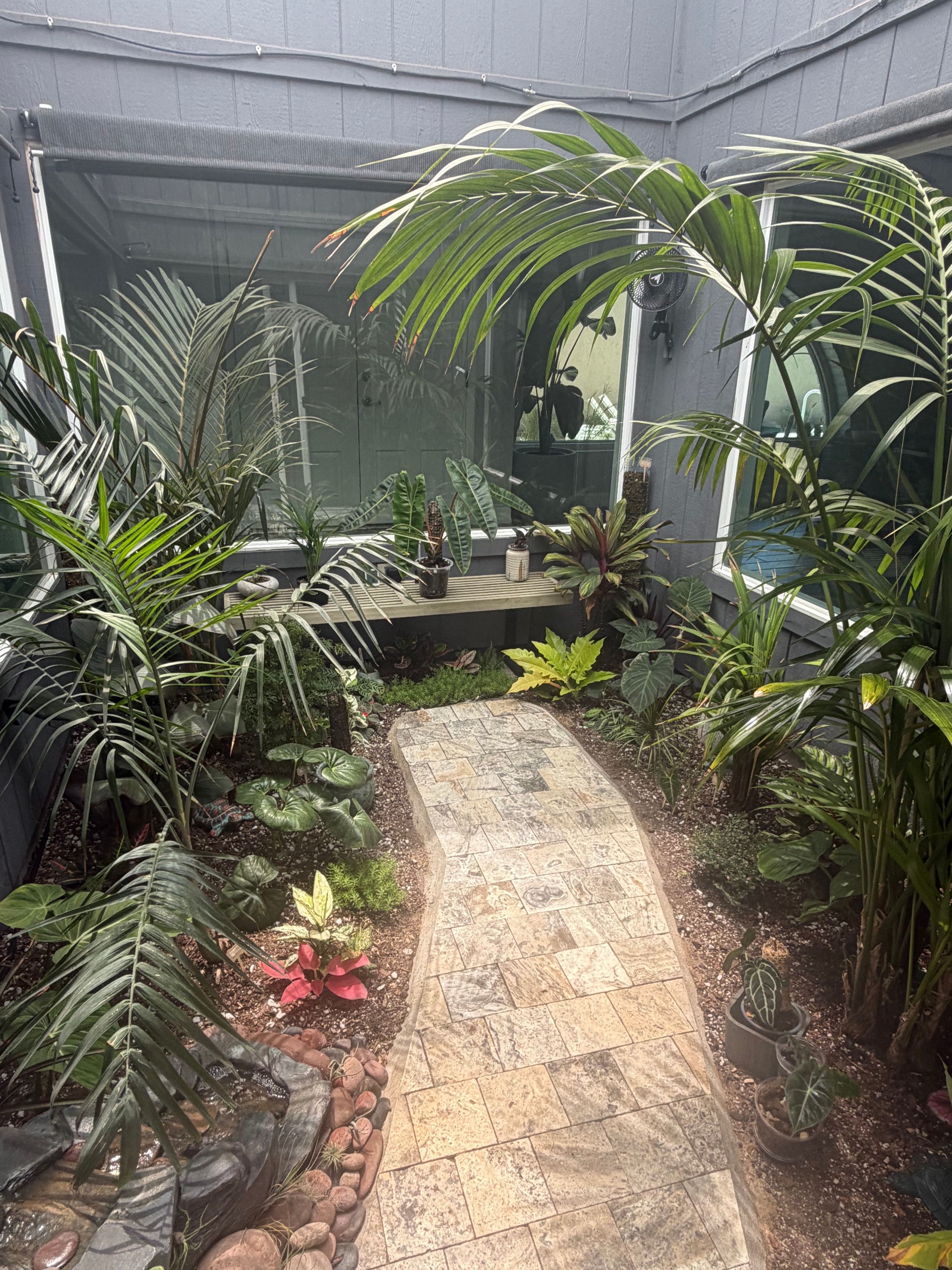 Stone steps courtyard with climbing vines