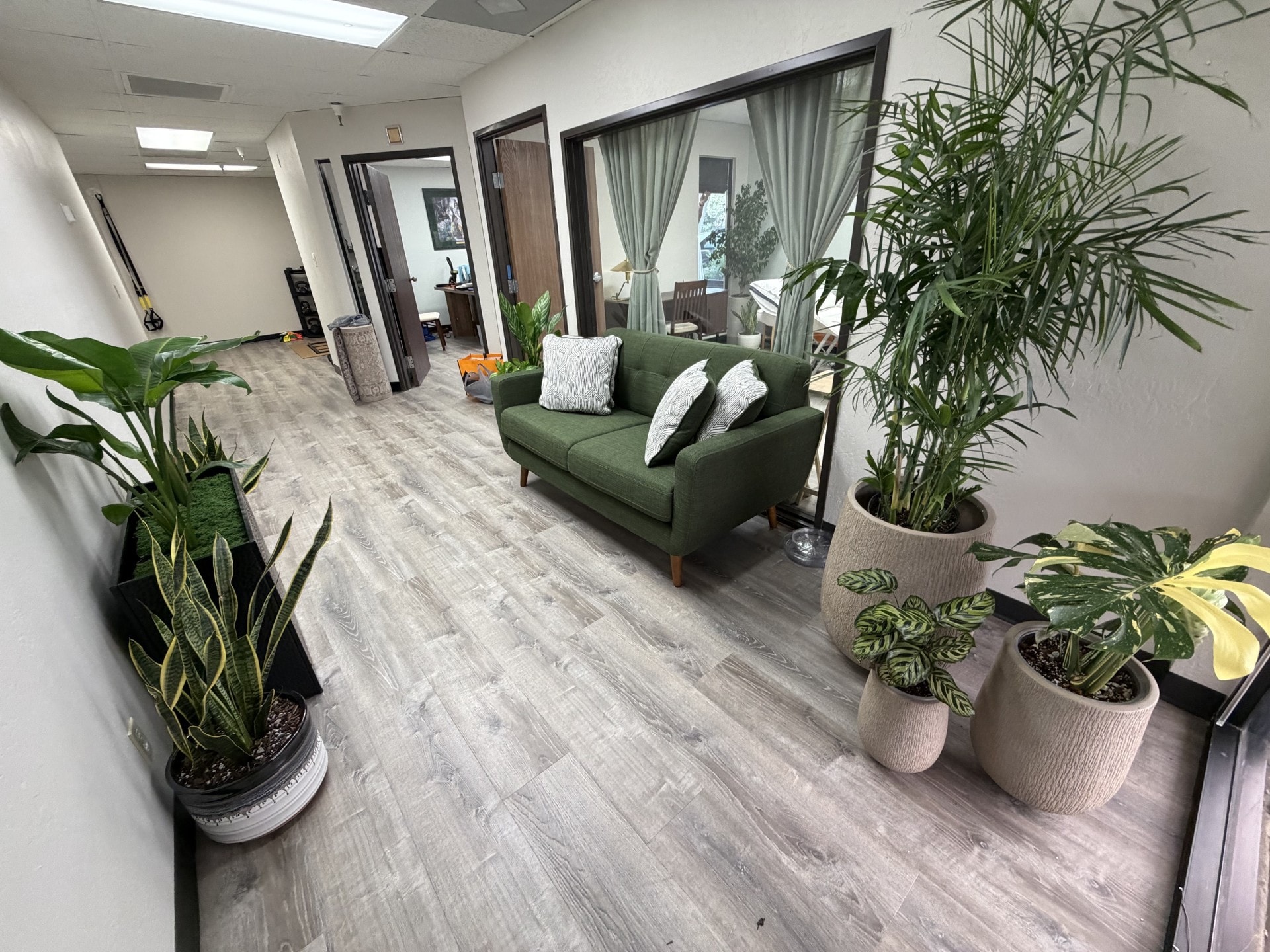 Interior plants commercial lobby