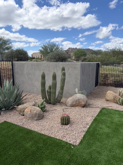 Desert garden with saguaro cactus