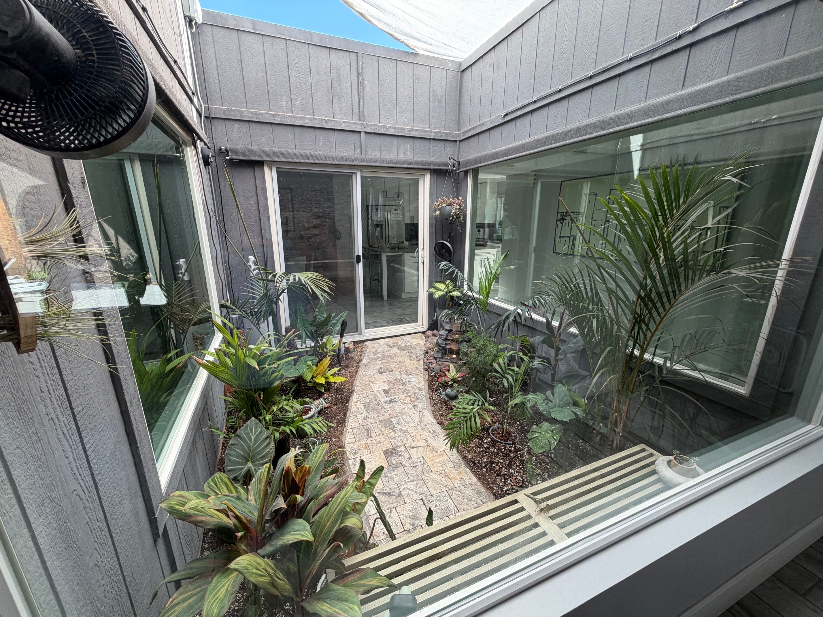 Lush tropical garden by My Plant Guys